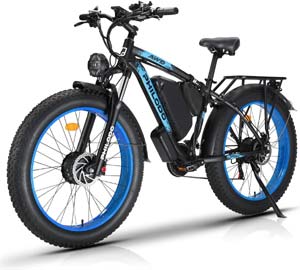 philodo electric bike