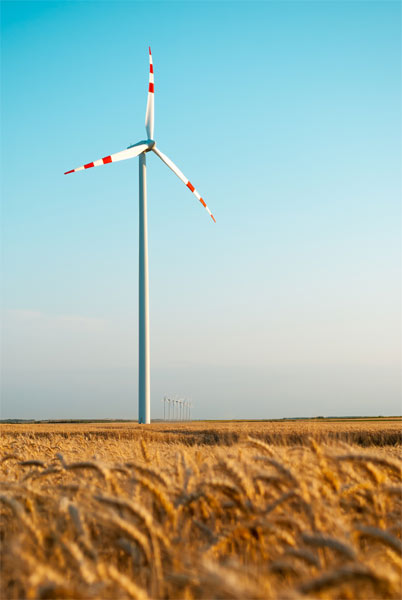 weat field wind turbine